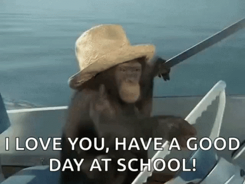 Chimp Chimpanzee GIF