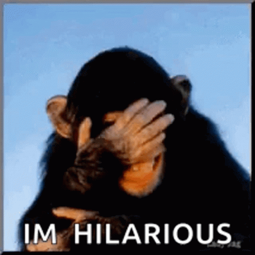 Chimpanzee Covering Face I'm Hilarious