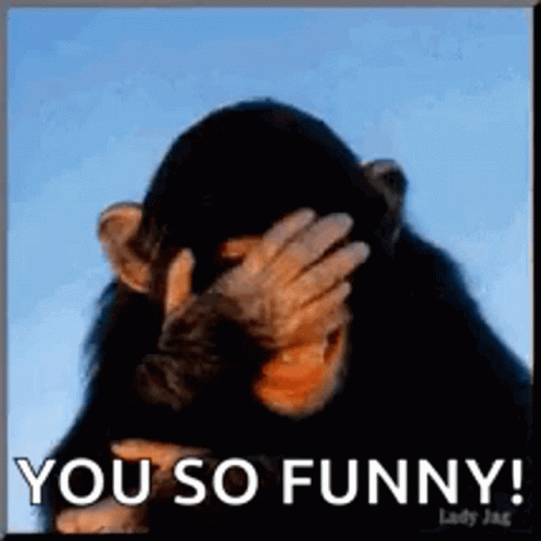 Chimpanzee Covering Face Saying You So Funny GIF