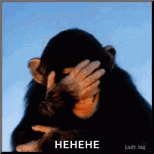 Chimpanzee Covering Face With Hand Henehe GIF