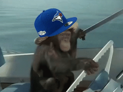 Chimpanzee in Blue Jays Hat Holding Sword