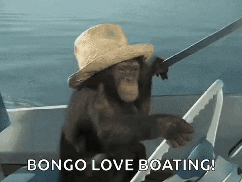 Chimpanzee In Straw Hat Rowing Boat Bongo Love Boating GIF