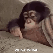 Chimpanzee Laying on Couch Pointing at Camera