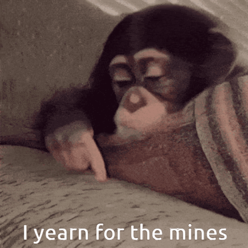 Chimpanzee Laying on Couch Saying I Yearn for the Mines