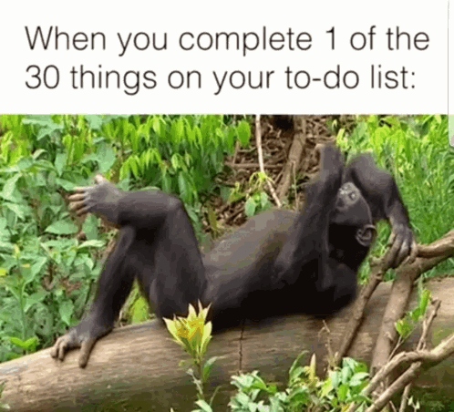 Chimpanzee Laying On Log When You Complete 1 Of The 30 Things On Your To-Do List GIF