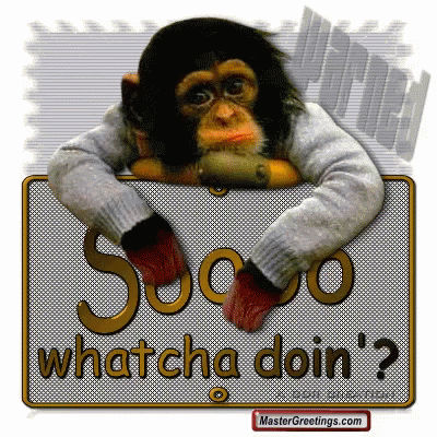 Chimpanzee Leaning Over Sign Saying Whatcha Doin?
