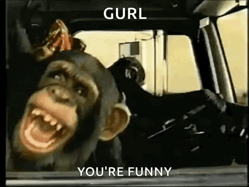 Chimpanzee Making Funny Face In Car GIF
