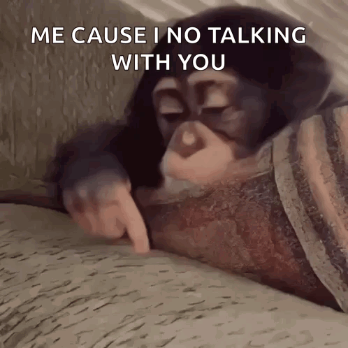 Chimpanzee Pointing Me Cause I No Talking With You GIF