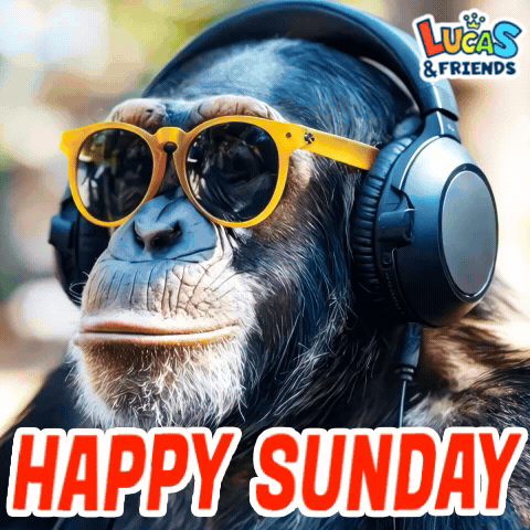Chimpanzee Wearing Headphones and Sunglasses