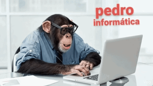 Chimpanzee With Glasses at Laptop Pedro Informatica