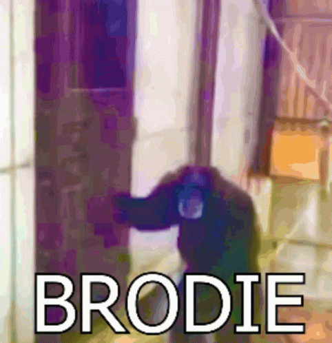 Chimpanzee With Name Brodie GIF