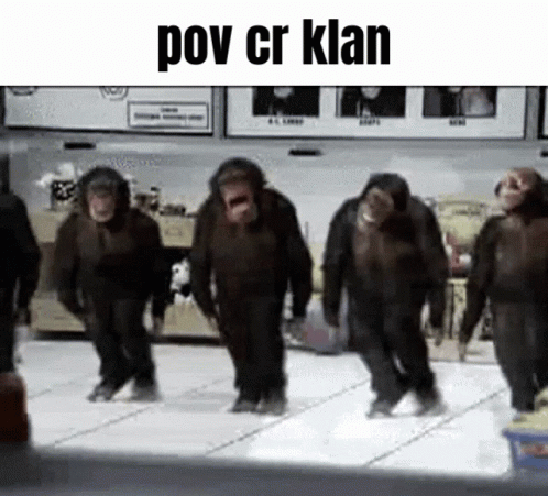 Chimpanzees Dancing POV CR Klan GIF