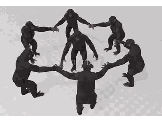 Chimpanzees Standing In Circle With Outstretched Hands