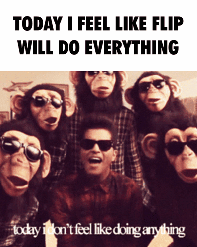 Chimpanzees Wearing Sunglasses Saying Today I Feel Like Flip Will Do Everything