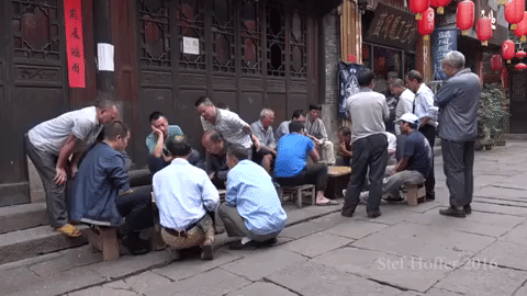 China 480 X 270 Gif GIF