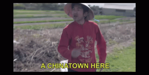 China Town Is Everywhere GIF