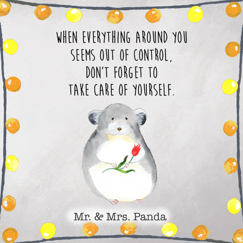 Chinchilla Don't Forget To Take Care Of Yourself GIF