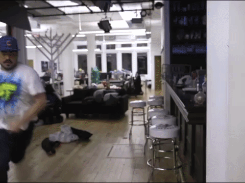 Chinchilla Guy Running Fast To Fridge GIF