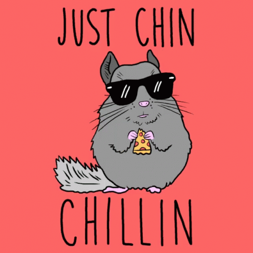 Chinchilla With Sunglasses Eating Pizza GIF