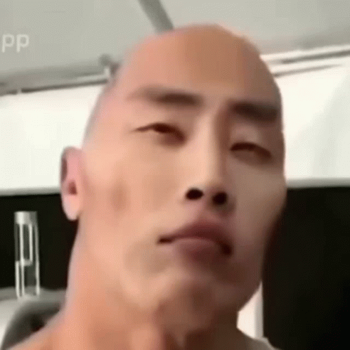 Chinese The Rock Raising Eyebrows Meme GIF