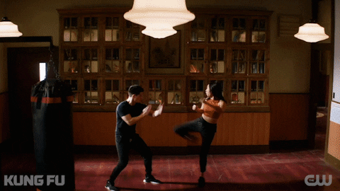 Chinese Fighting Couple Elegant Kung Fu Moves GIF