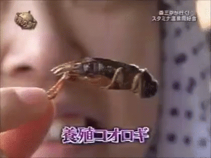 Chinese Girl Eating Grasshopper GIF