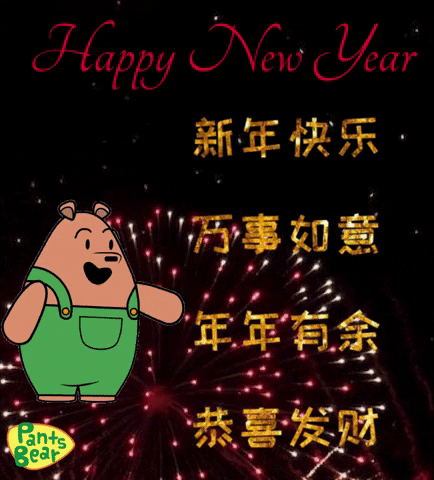 Chinese New Year 2022 Pants Bear Fireworks GIF