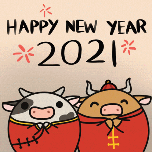 Chinese Pets Cute Happy New Year GIF
