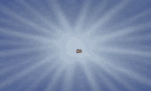 Chip And Dale Show GIF