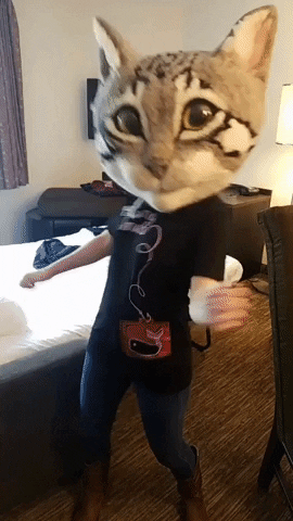 Chipi Chipi Chapa Chapa Cat Bubble Head GIF