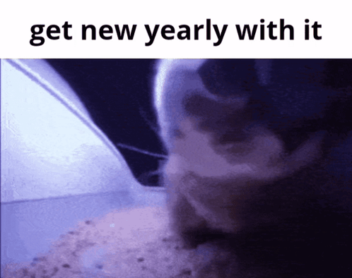 Chipi Chipi Chapa Chapa Cat Fireworks Meme GIF