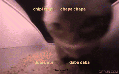Chipi Chipi Chapa Chapa Cat Rainbow Lights GIF
