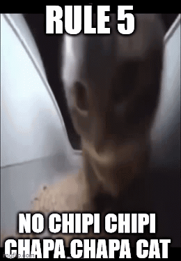 Chipi Chipi Chapa Chapa Cat Rule Five Meme GIF