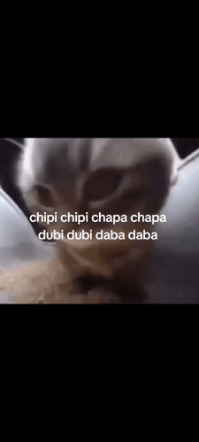 Chipi Chipi Chapa Chapa Dancing Cat Meme GIF