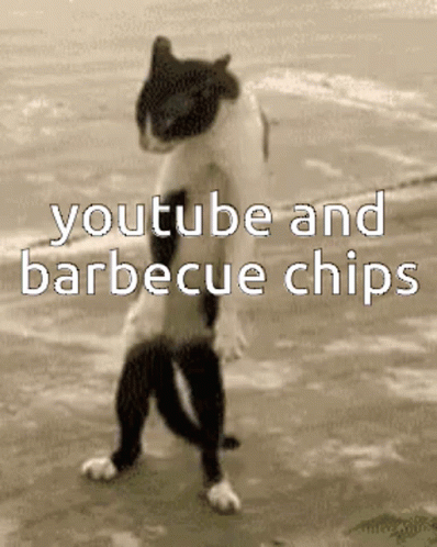 Chipi Chipi Chapa Chapa Fighting Cat Meme GIF