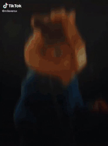 Chipmunk In Blue Hoodie With TikTok Watermark GIF