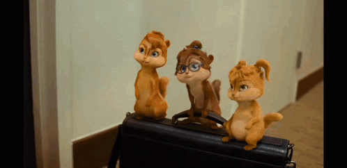 Chipmunk In Red Sweater With Letter A On Back GIF