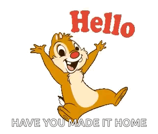 Chipmunk Jumping Hello Have You Made It Home GIF