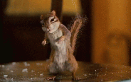 Chipmunk Standing on Hind Legs Looking at Camera