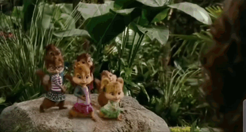 Chipmunks And Chipettes Cast Away On Island GIF