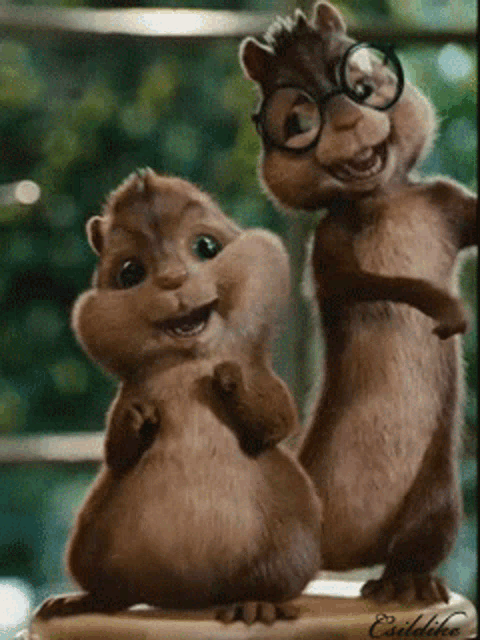 Chipmunks Eyeglasses Gif GIF