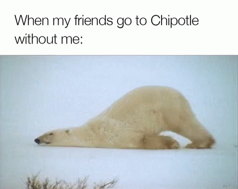 Chipotle Burritos GIF