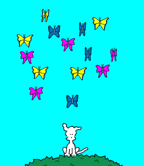 Chippy The Dog Butterflies Love GIF