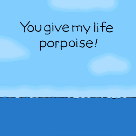 Chippy the Dog Porpoise Gift