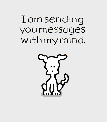 Chippy The Dog Sending Mind Messages GIF