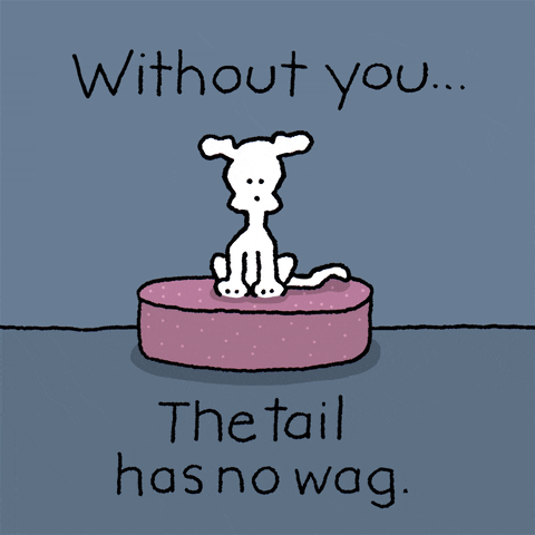 Chippy the Dog Without You Tail No Wag