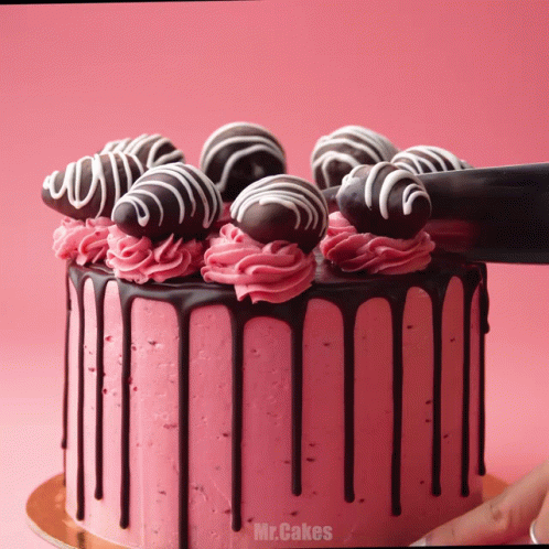 Chocolate Cake on Wooden Stand