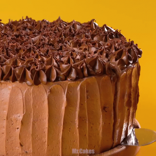 Chocolate Cake Saying Mr Cakes