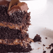 Chocolate Cake Slice with Bite