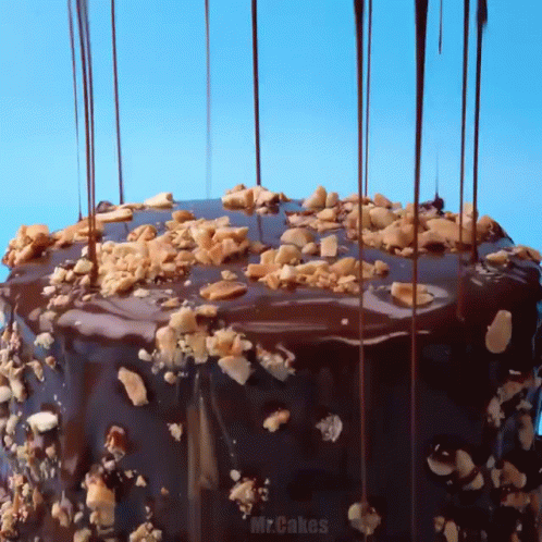 Chocolate Cake With Peanuts